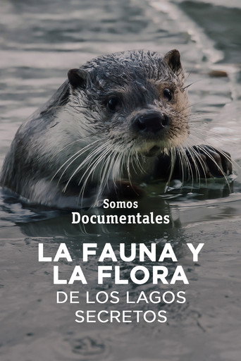 Movie poster for Mecklenburgs geheime Wasserwildnis - Die Feldberger Seen (2022)