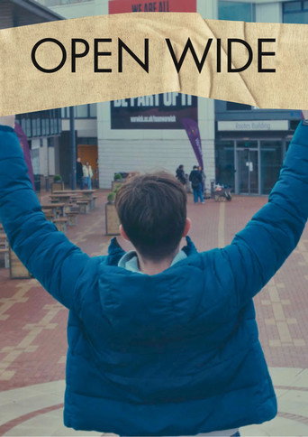 Movie poster for Open Wide