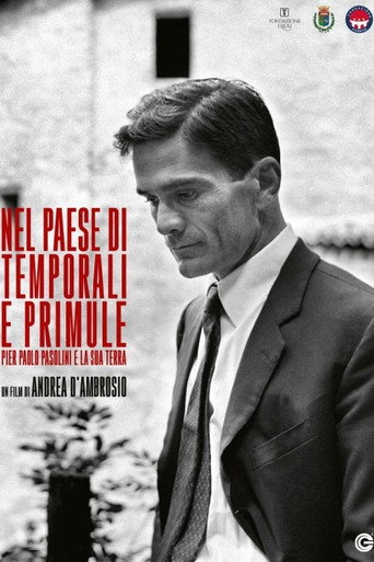 Movie poster for Nel paese di temporali e di primule - Pier Paolo Pasolini e la sua terra (2021)
