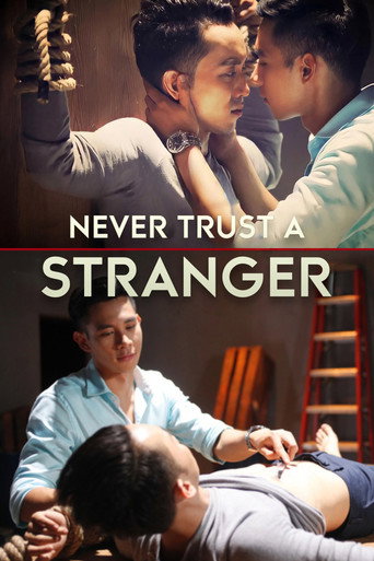 Never Trust a Stranger poster