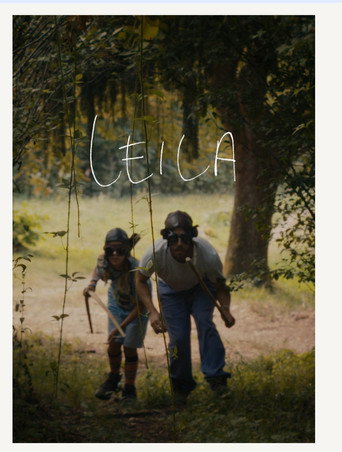 Movie poster for Leila