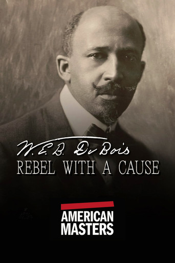 W.E.B. Du Bois: Rebel With a Cause poster