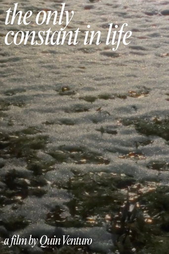 Movie poster for The Only Constant In Life (2026)