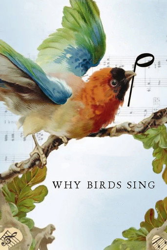 Movie poster for Why Birds Sing (2007)