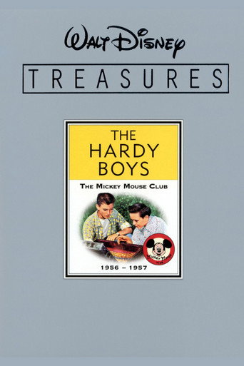 Movie poster for The Hardy Boys Unmasked (2006)