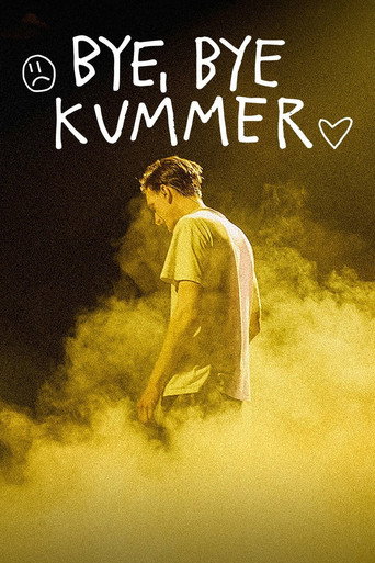 BYE, BYE KUMMER poster