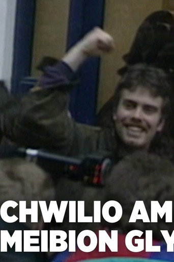 Movie poster for Bryn Fon: Search for the Sons of Glyndwr (2021)