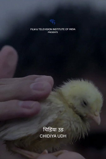 Movie poster for Fly, Bird (2014)