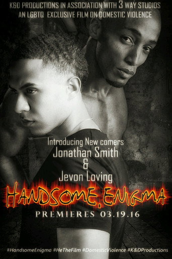 Movie poster for Handsome Enigma (2016)