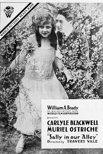 Movie poster for Sally in Our Alley (1916)