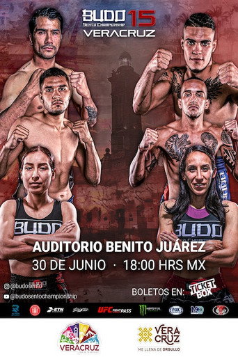 Movie poster for Budo Sento Championship 15 (2023)