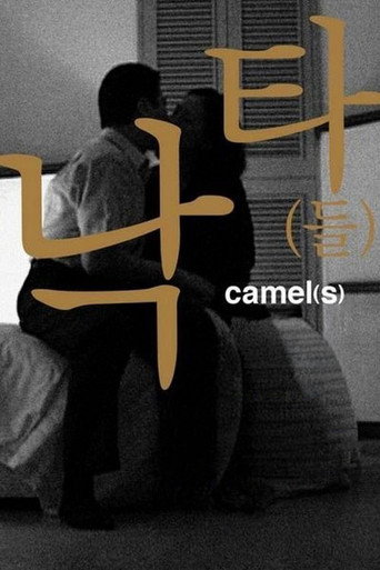 Movie poster for Camel(s) (2002)