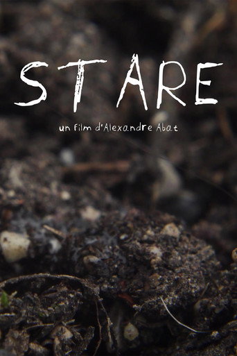 Movie poster for Stare (2026)