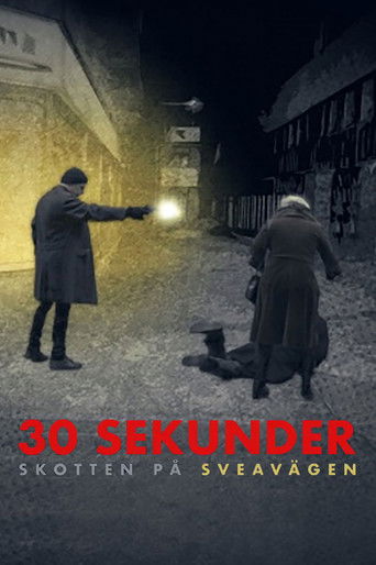 30 sekunder: Skotten på Sveavägen poster