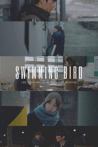 Swimming Bird poster