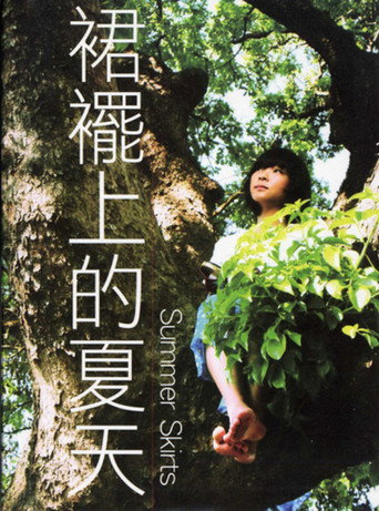 Summer Skirts poster