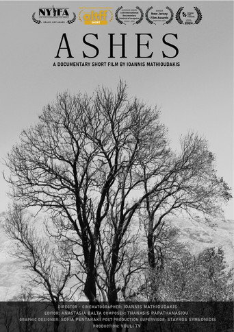 Movie poster for Ashes (2024)