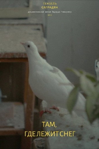 Movie poster for There Where The Snow Lies (2019)