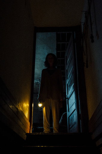 Movie poster for Shadow (2020)