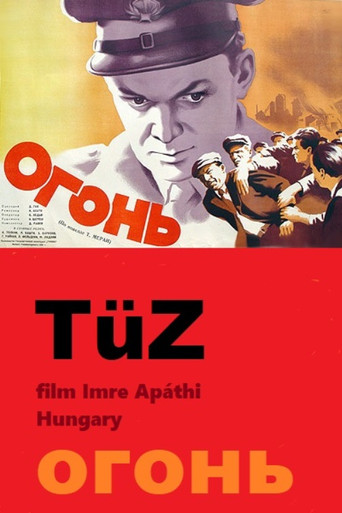 Tüz poster