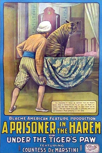Movie poster for A Prisoner in the Harem (1913)