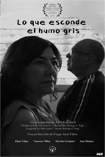 What the gray smoke hides poster