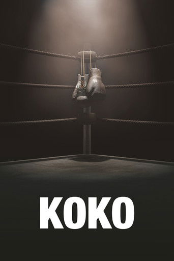 KOKO poster
