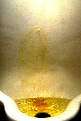 Movie poster for Piss