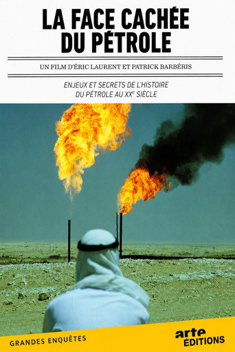 Movie poster for La face cachée du pétrole (2010)