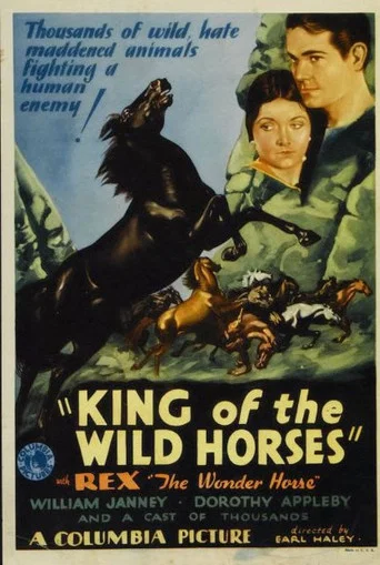 Movie poster for King of the Wild Horses (1933)