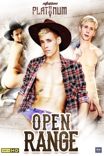 Movie poster for Open Range (2013)