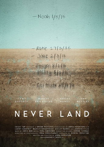 Never Land poster