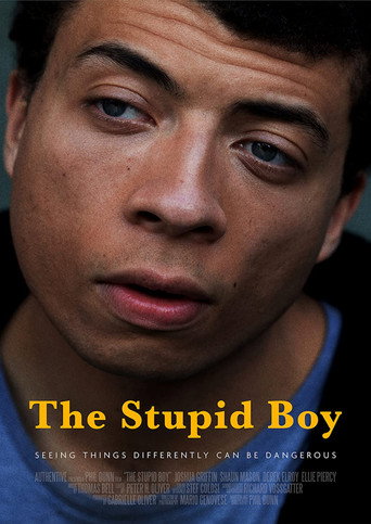 Movie poster for The Stupid Boy (2022)