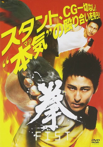 Movie poster for FIST (2009)