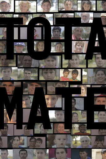 Movie poster for Totamate (2016)