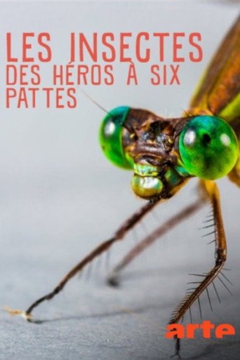 Movie poster for Insekten, Superhelden auf sechs Beinen (2017)