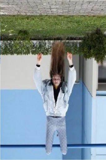 The Springtime Sleep poster