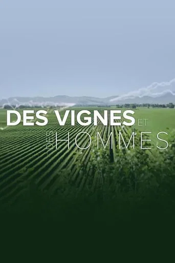 Series poster for Worldwide Wine Civiliziations (2017)