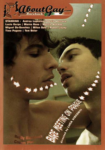 Movie poster for Bare Meeting On Prague (2007)