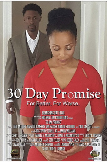 Movie poster for 30 Day Promise (2017)