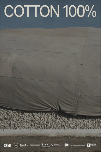 Movie poster for Cotton 100% (2022)