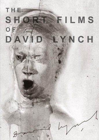 The Short Films of David Lynch poster