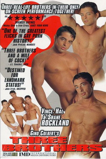 Movie poster for Three Brothers (1998)