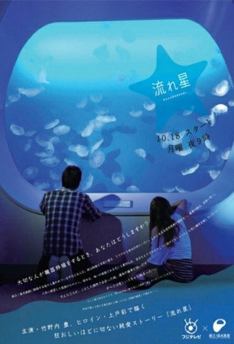 Series poster for Shooting Star (2010)