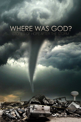 Movie poster for Where Was God? (2014)