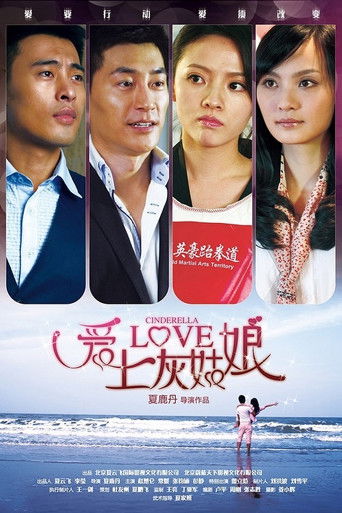 Cinderella Love poster