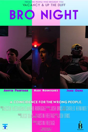 Movie poster for Bro Night (2018)