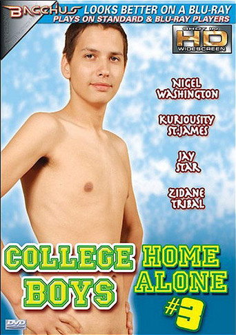 Movie poster for College Boys Home Alone 3 (2008)
