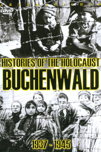 Movie poster for Histories of the Holocaust:Buchenwald (2010)