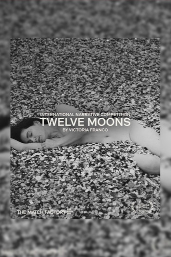 Twelve Moons poster